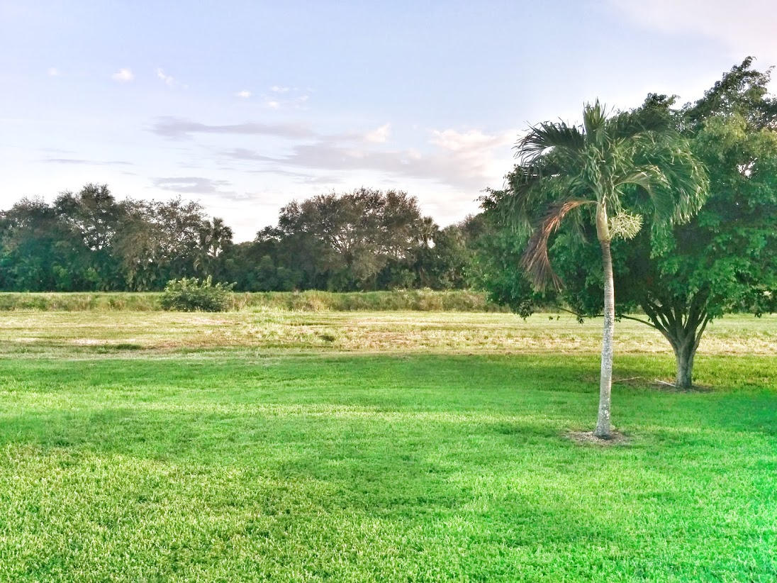 8322 Huntsman Place Boca Raton, FL 33433 - Photo 3 of 14 IMG_20140725_191604