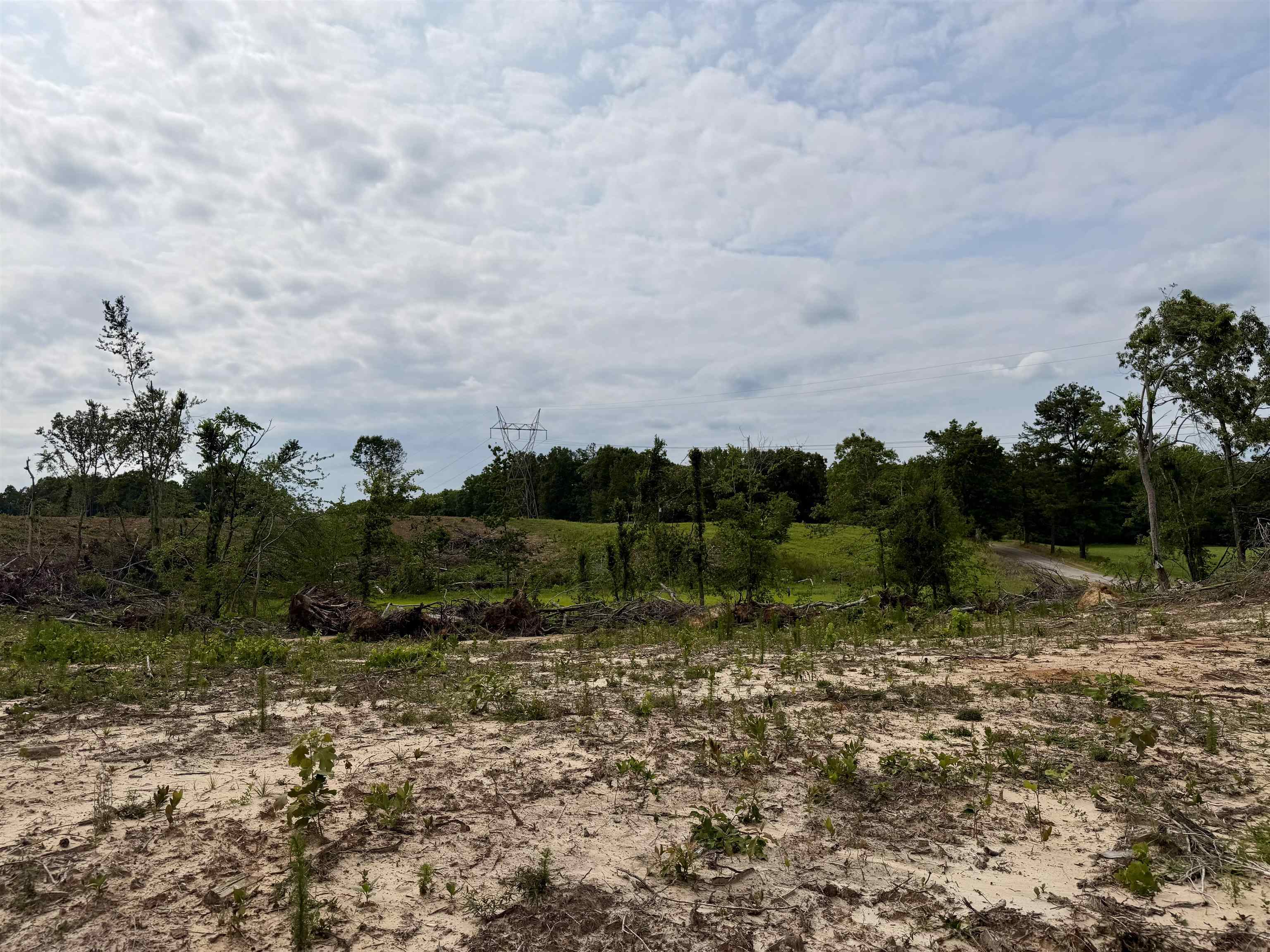 0 Dee Moore Road Selmer, TN 38375 - Photo 7 of 10