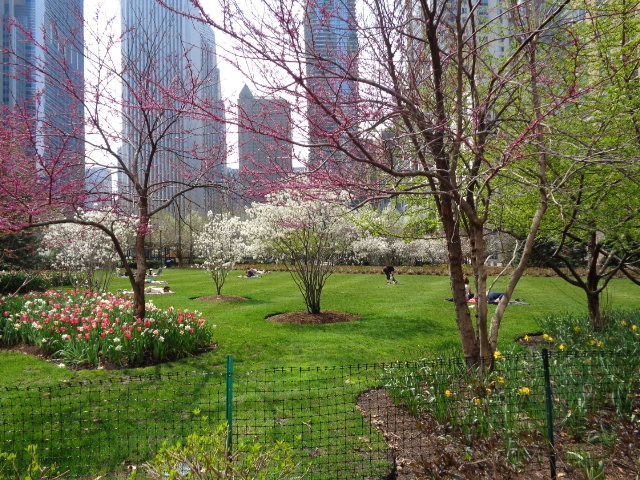 201 North Westshore Drive, Unit 2604 Chicago, IL 60601 - Photo 23 of 25