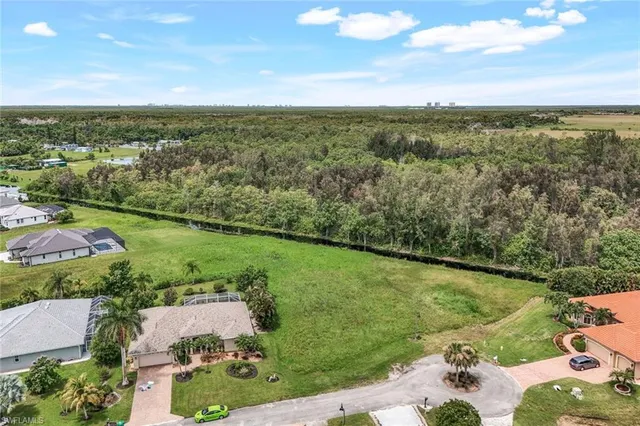 an aerial view of green landscape with trees