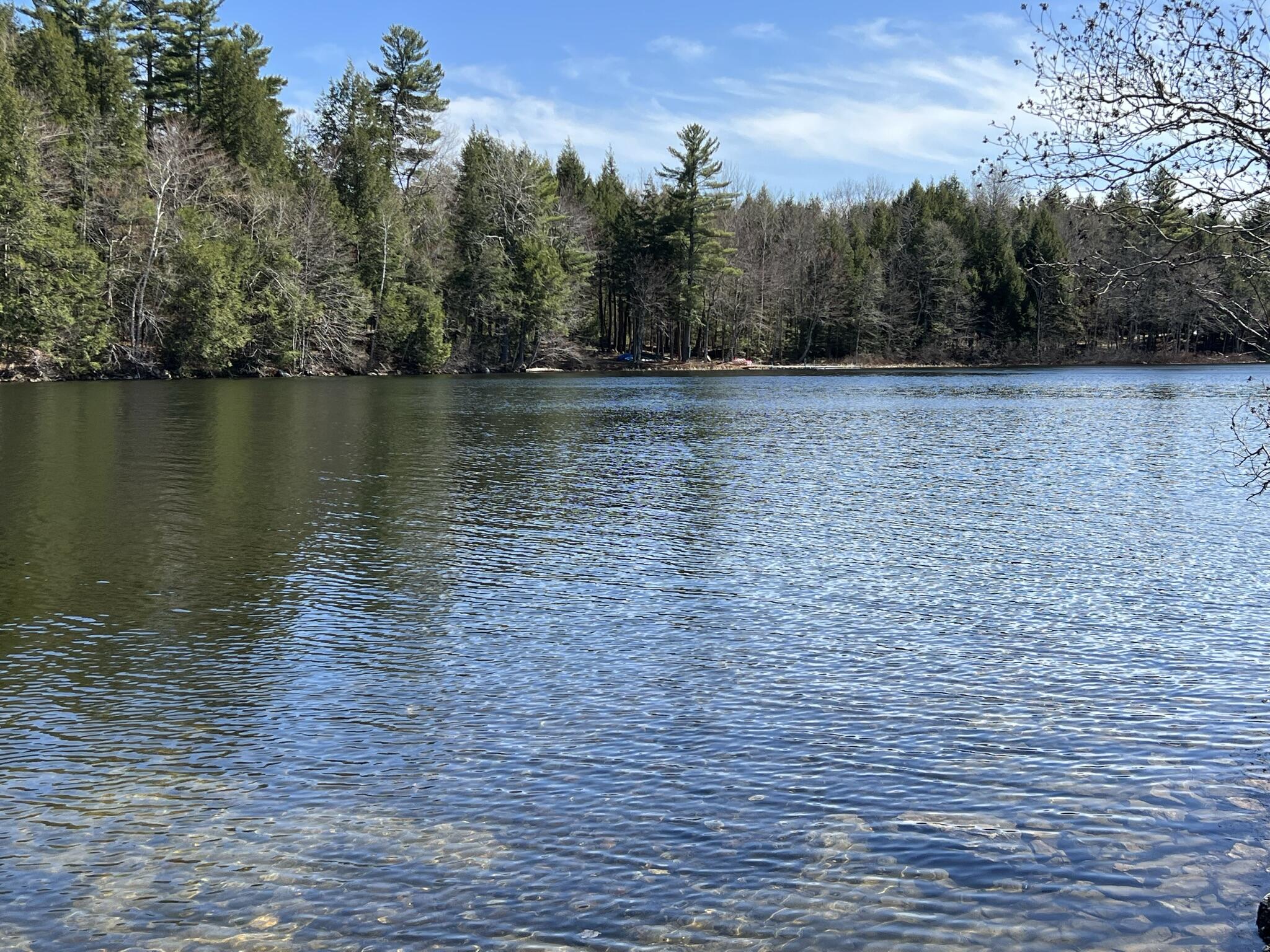 0 Cleve Tripp Road Poland, ME 04274 - Photo 9 of 16 IMG_0226