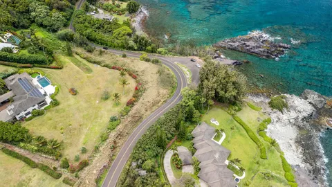 a view of a yard with a garden