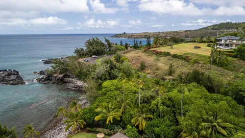 a view of a garden with flowers