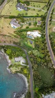 a view of a garden with a pathway