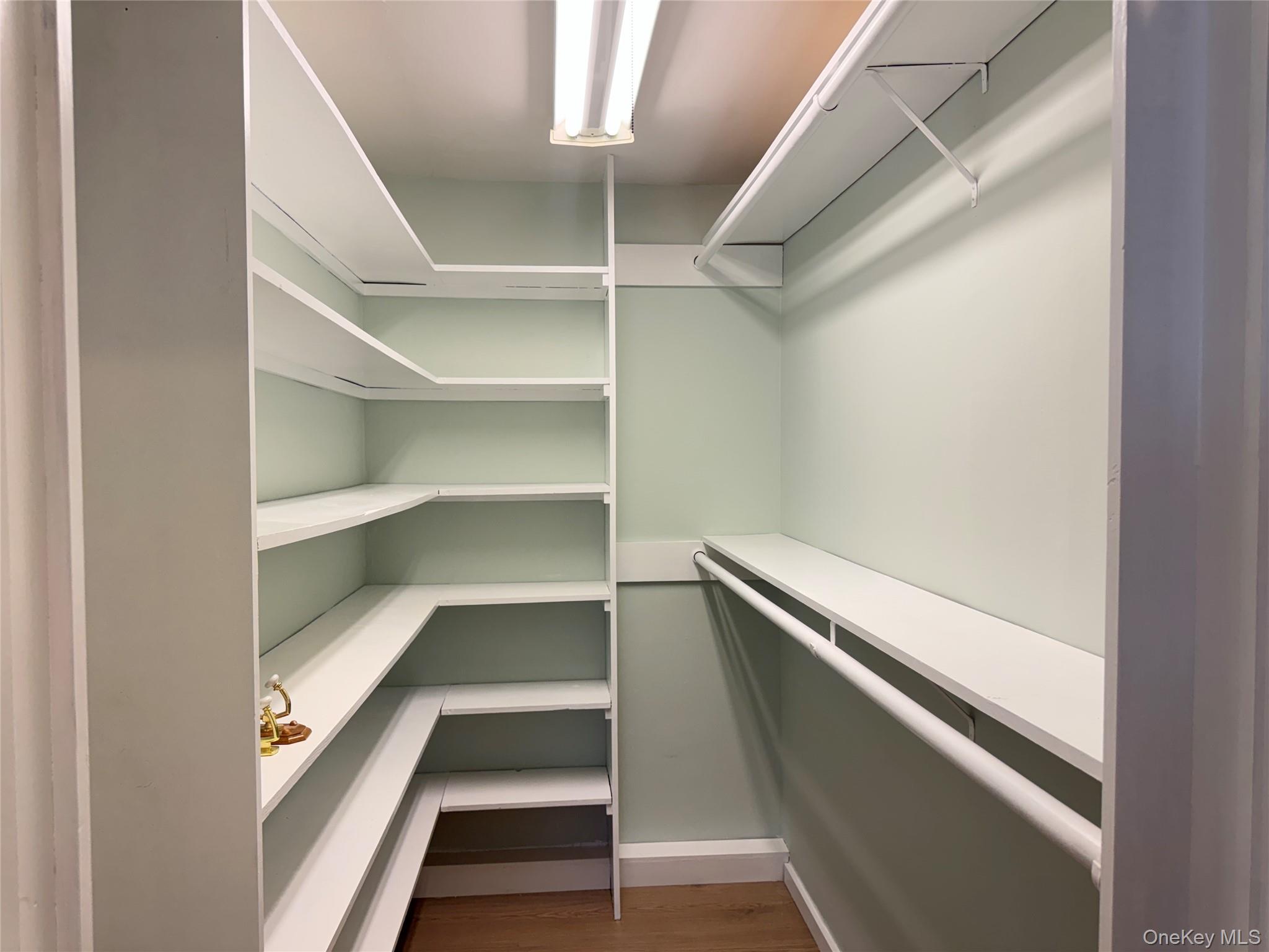 129 Spring Lane Levittown, NY 11756 - Photo 15 of 18 a view of an empty walk in closet