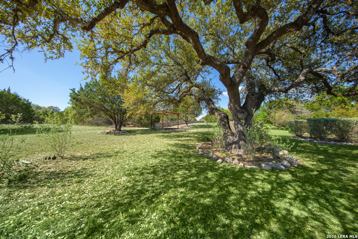 104 Park Ridge Boerne, TX 78006 - Photo 37 of 64
