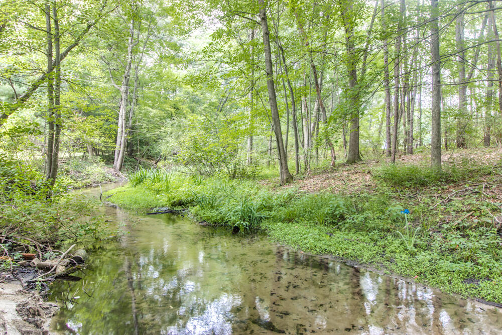 100 Old Mill Road Middleville, MI 49333 - Photo 54 of 58 IMG_0187