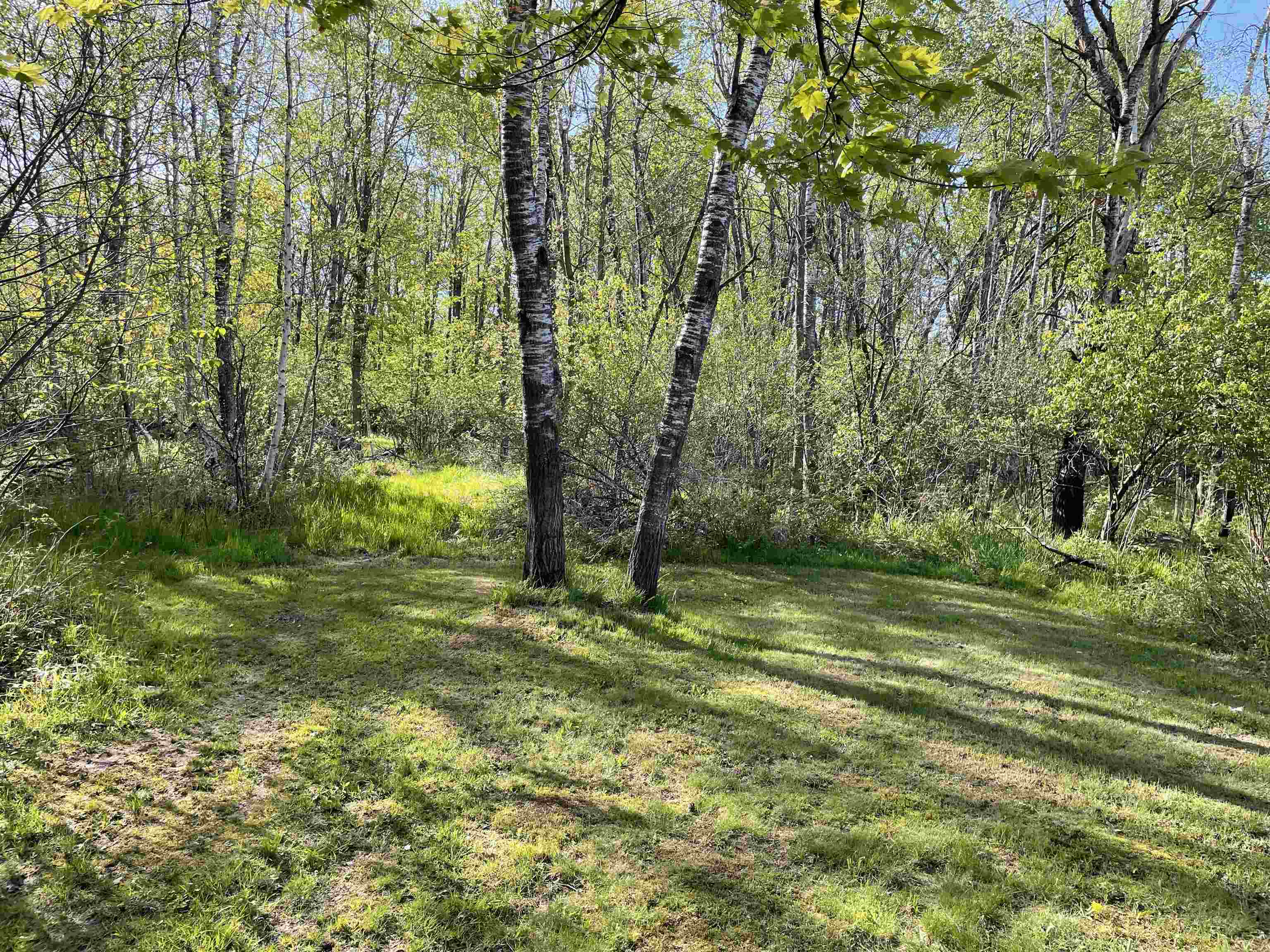10773 County Rd K Auburndale, WI 54412 - Photo 3 of 27