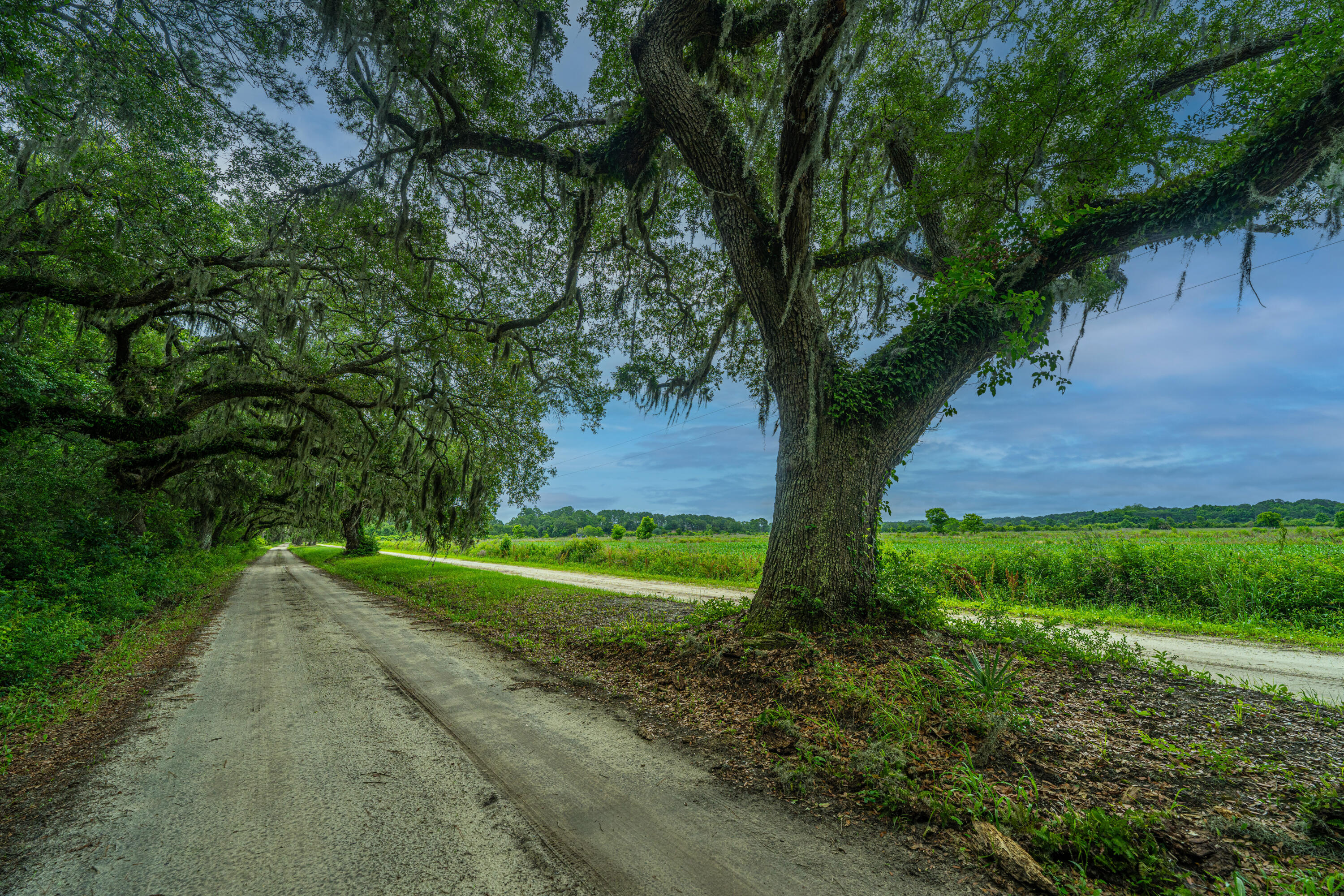 CedarHallFarm006