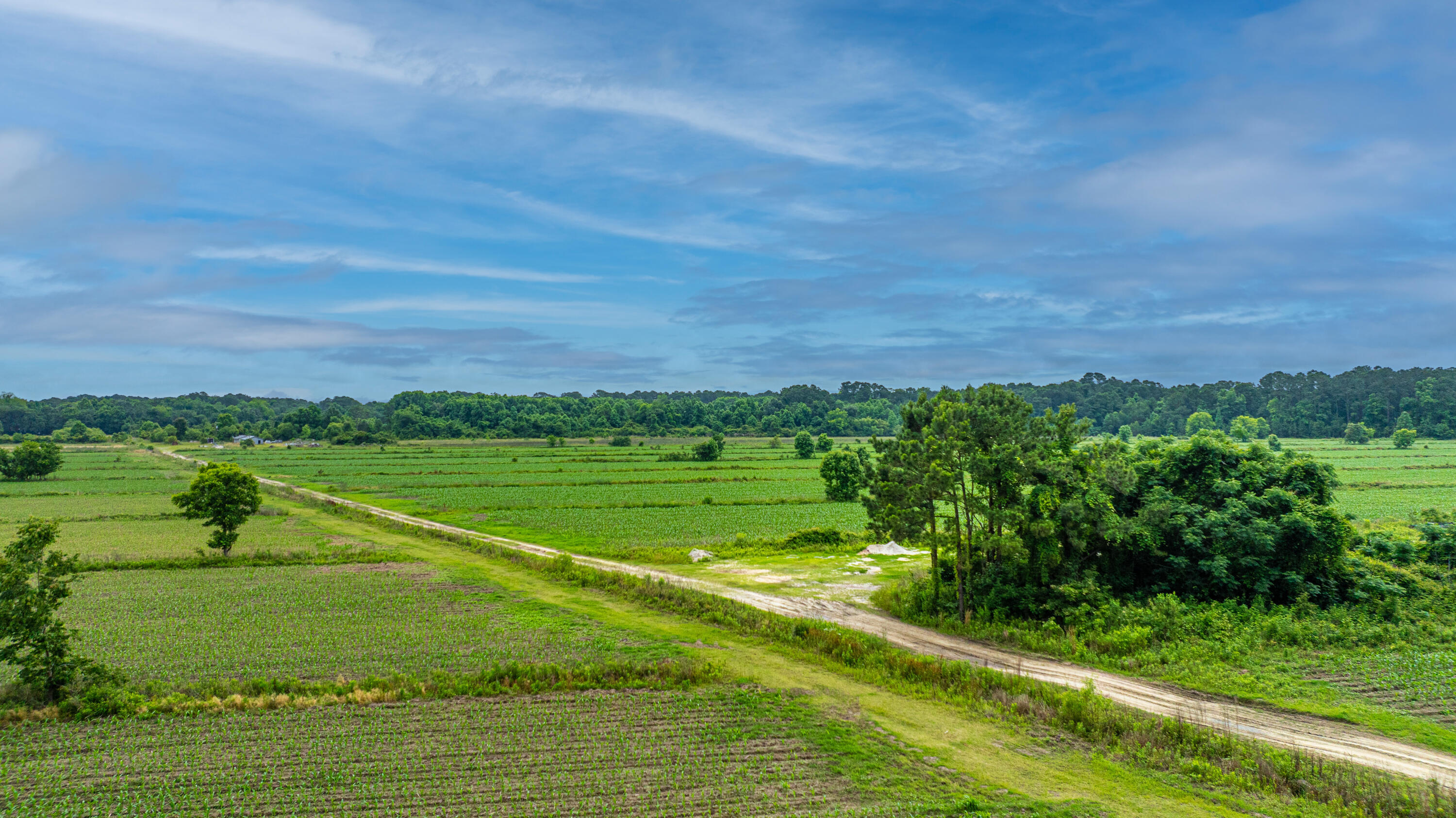0 Brick House Road Edisto Island, SC 29438 - Photo 20 of 34 CedarHallFarm022