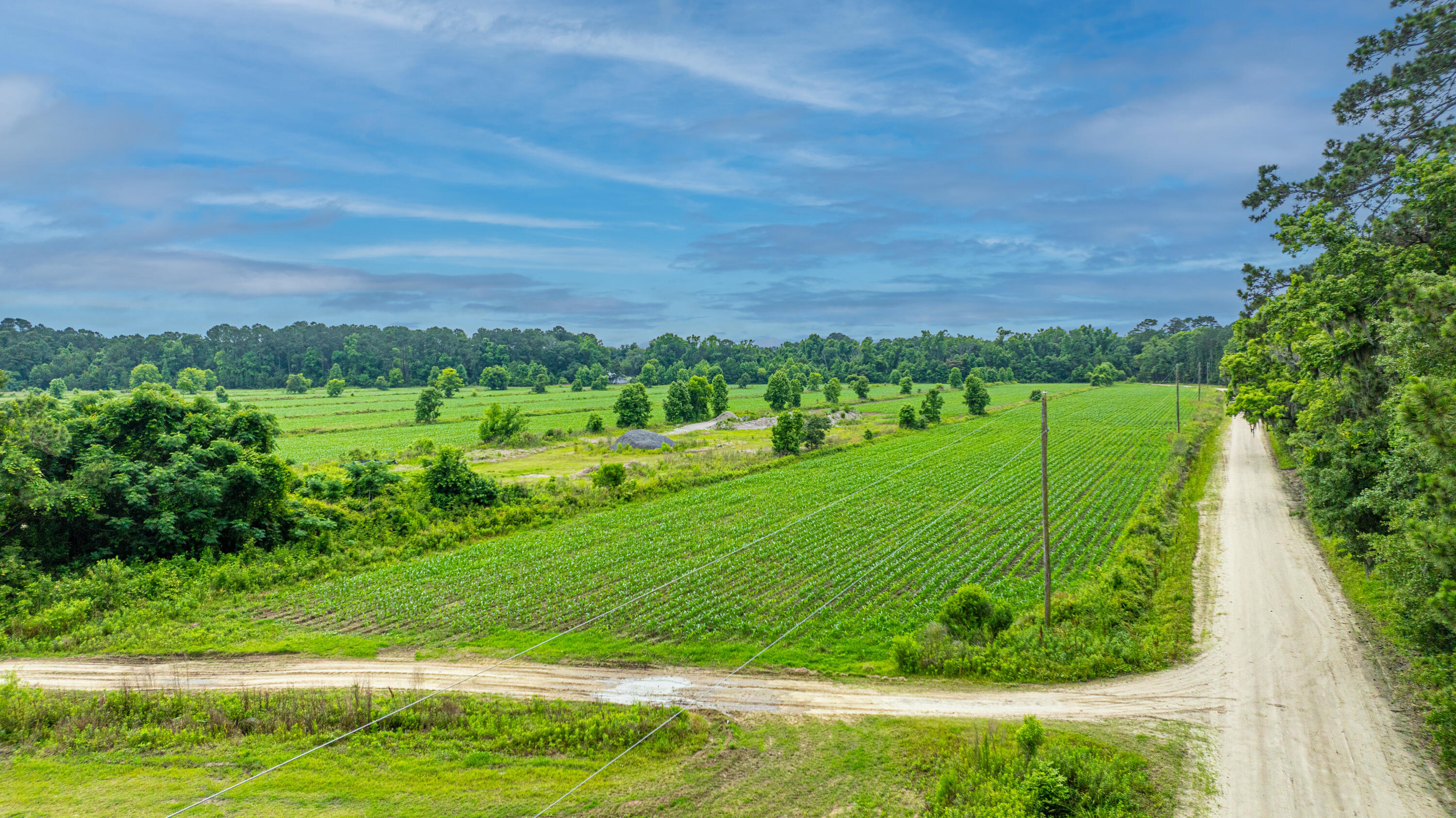 CedarHallFarm023