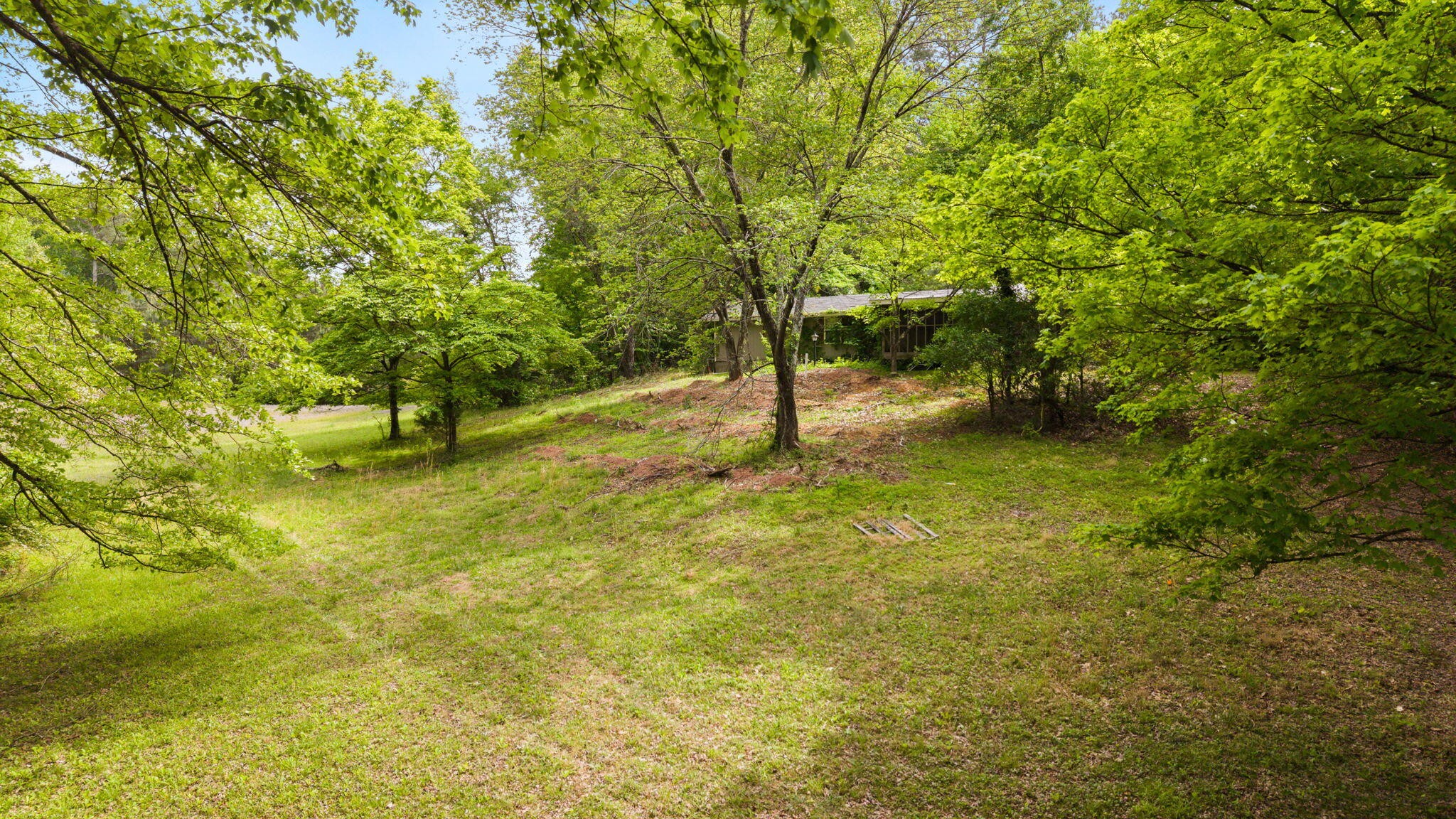 3414 No Pone Road Northwest Georgetown, TN 37336 - Photo 8 of 30 a view of yard with trees