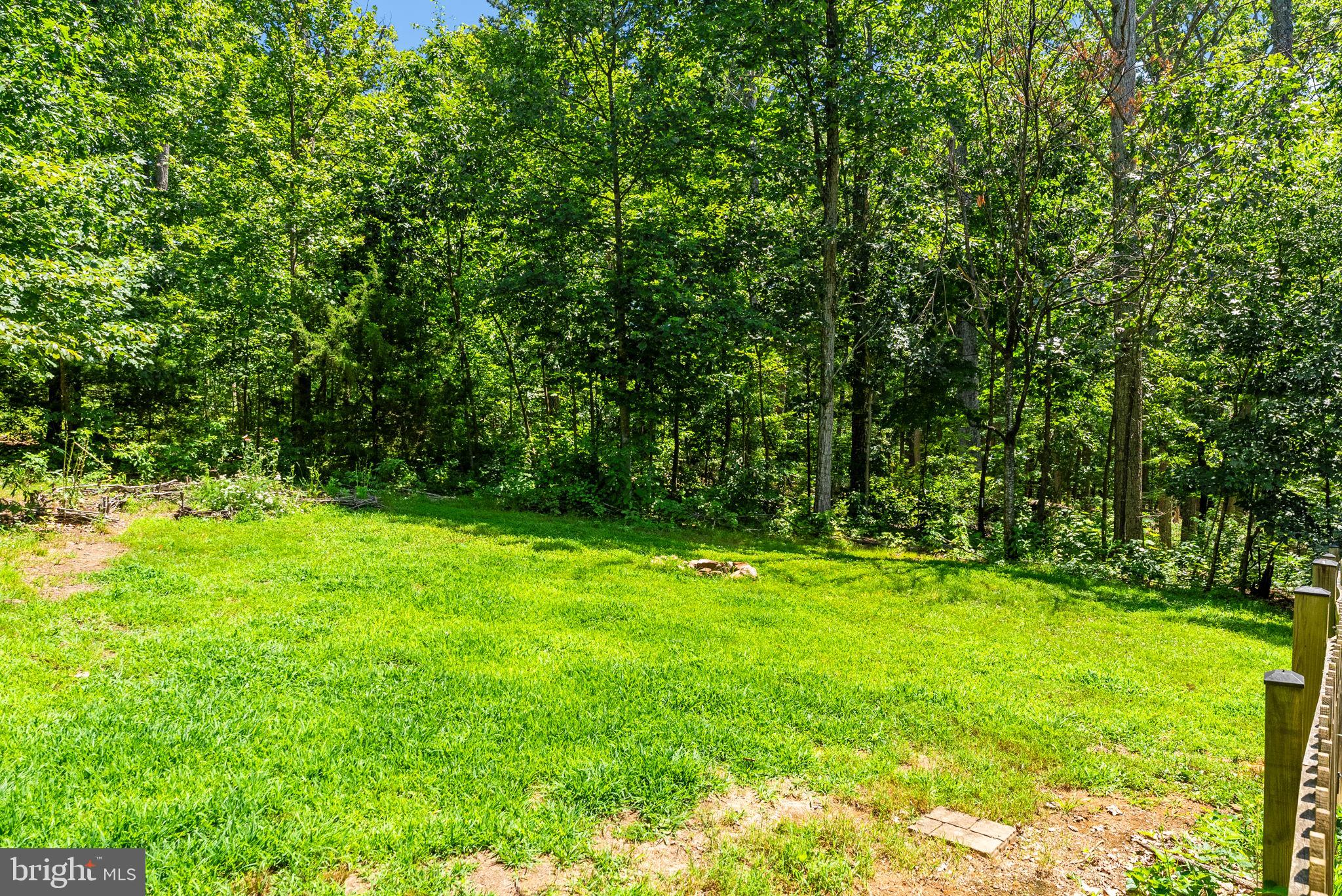 10275 Mountain Run Lake Road Culpeper, VA 22701 - Photo 79 of 89