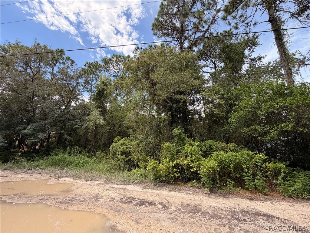 5710 South Leopard Point Homosassa, FL 34446 - Photo 7 of 10 Gallery Image 7