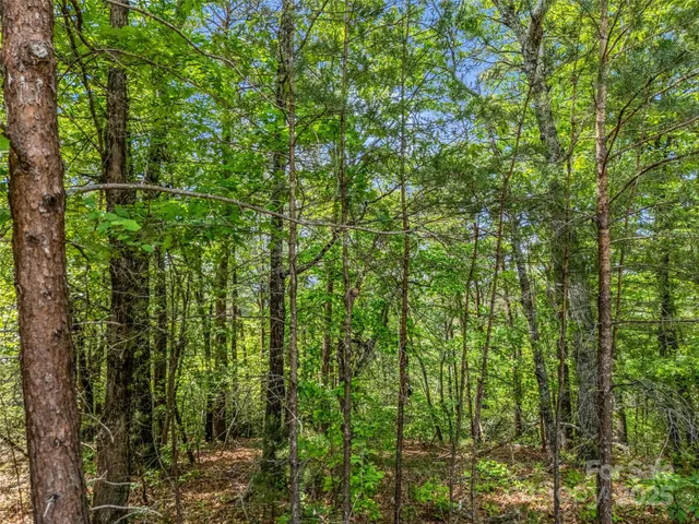 $199,000 | 4 Woodward Dr Mill Spring, Mill Spring, NC 28756