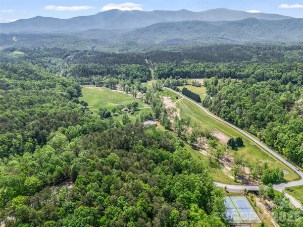a view of a forest with a mountain