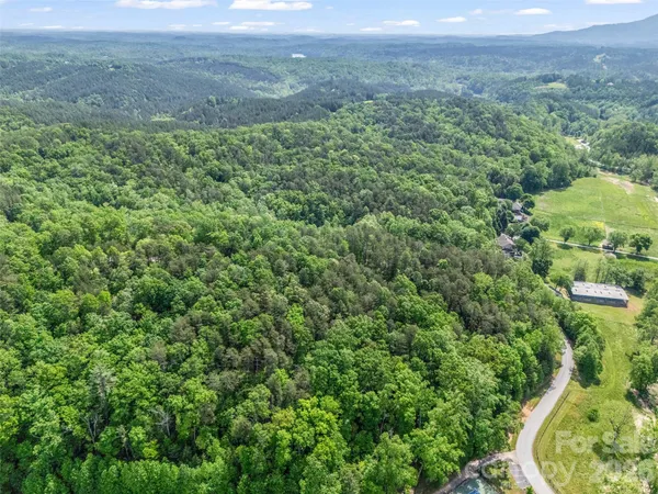 a view of a lush green forest with trees and some houses