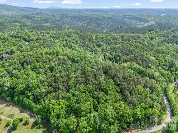 a view of a lush green field