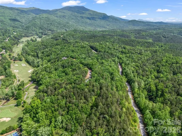 a view of a lush green forest with lush green forest