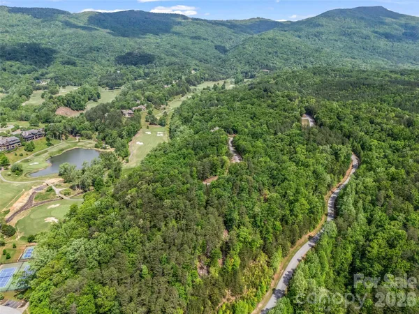 a view of a lush green forest with trees in the background
