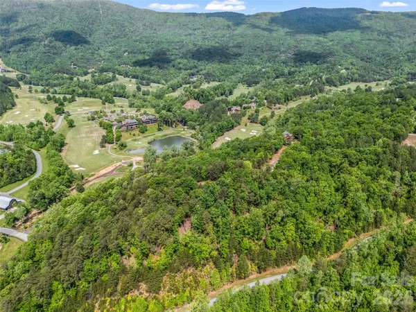 a view of a lush green forest with trees and houses