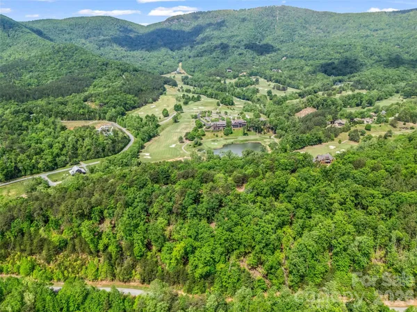 a view of a lush green forest with trees and some houses