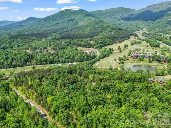 a view of a lush green hillside and a houses