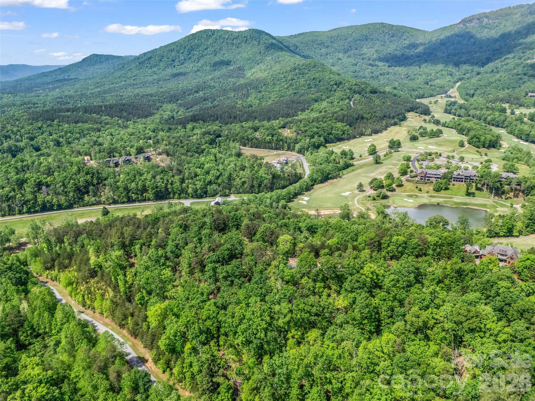 4 Woodward Dr Mill Spring Mill Spring, NC 28756 - Photo 20 of 40 a view of a lush green hillside and a houses