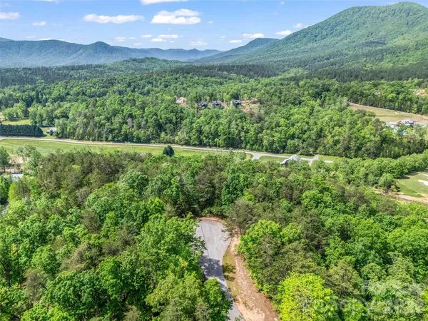 a view of a lush green hillside and a houses