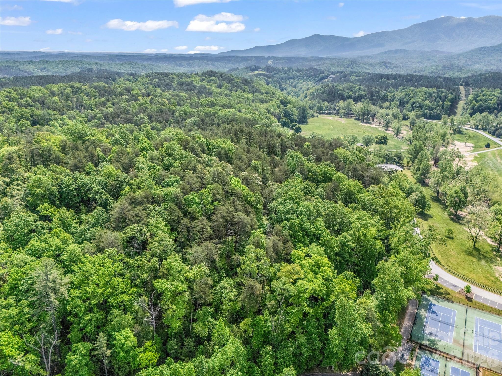 4 Woodward Dr Mill Spring Mill Spring, NC 28756 - Photo 23 of 40 a view of a lush green forest with trees and grass