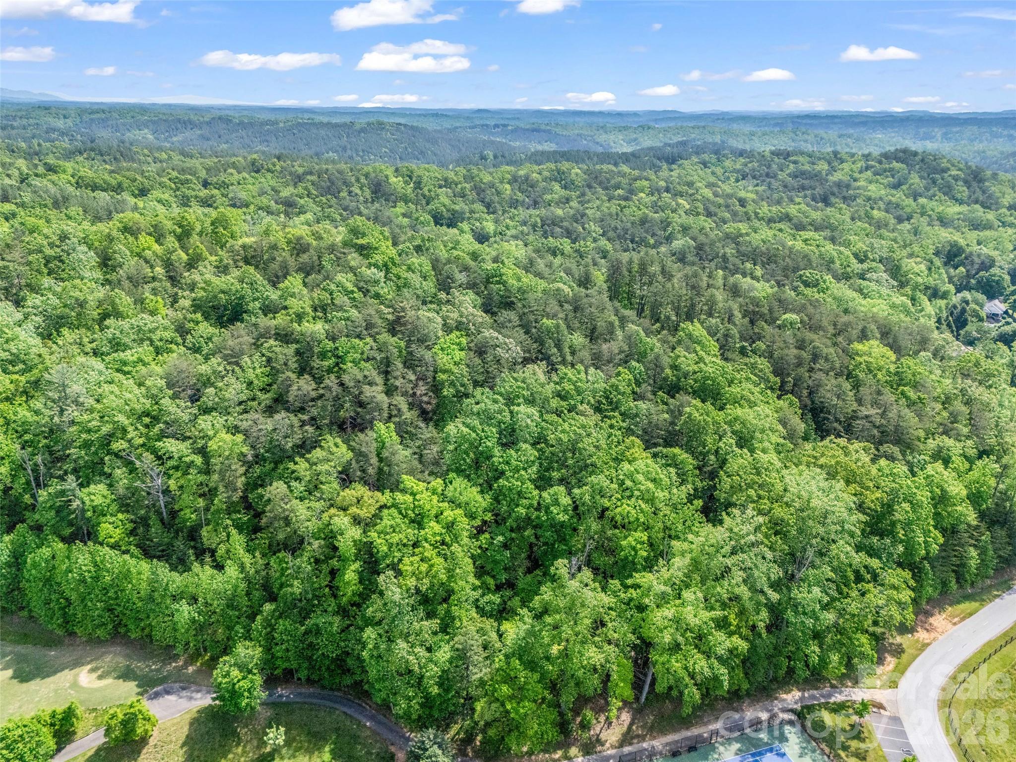 4 Woodward Dr Mill Spring Mill Spring, NC 28756 - Photo 24 of 40