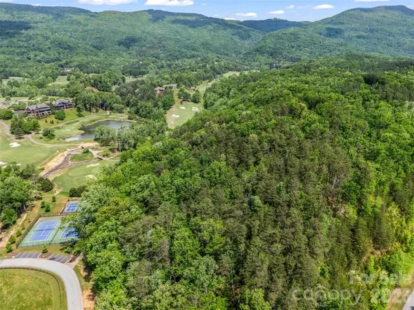 a view of a big yard with large trees