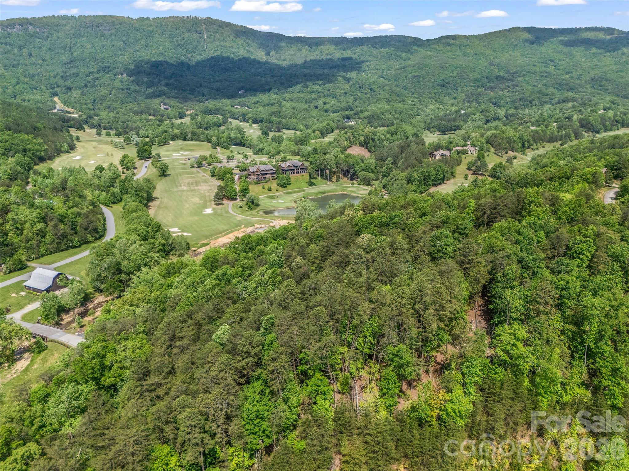 4 Woodward Dr Mill Spring Mill Spring, NC 28756 - Photo 28 of 40 a view of a big yard with large trees