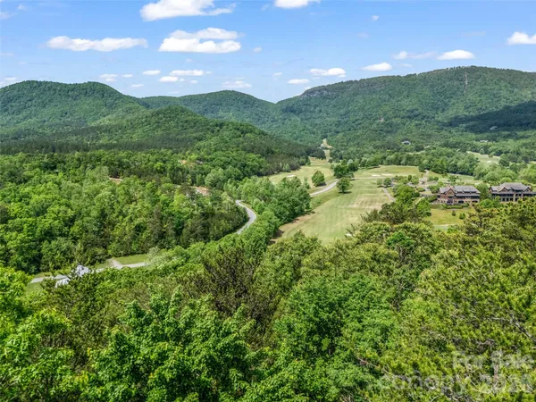 a view of an lush green mountain from a yard