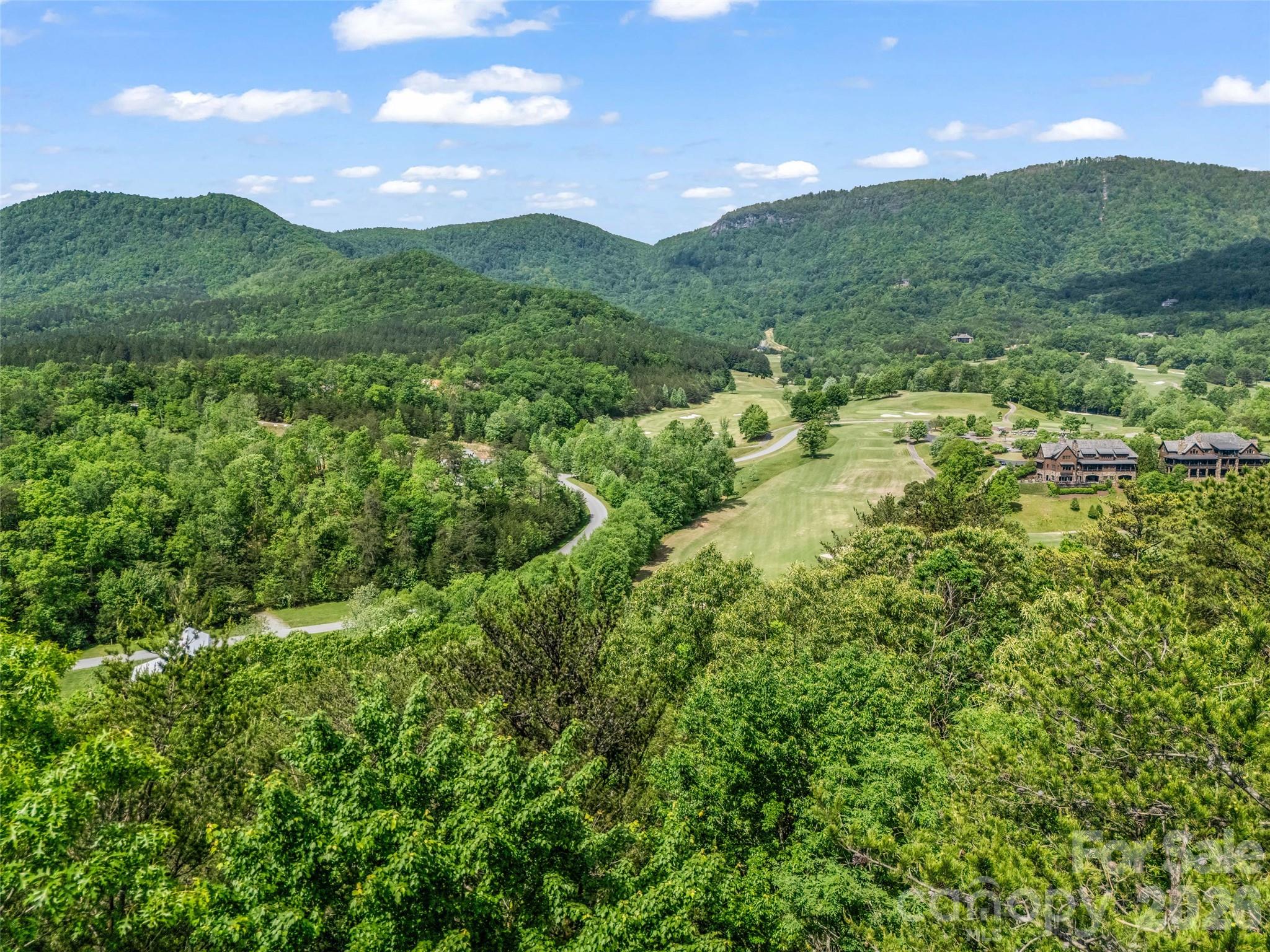 4 Woodward Dr Mill Spring Mill Spring, NC 28756 - Photo 29 of 40 a view of a lush green space with sea