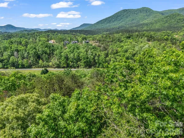 a view of a lush green space with sea