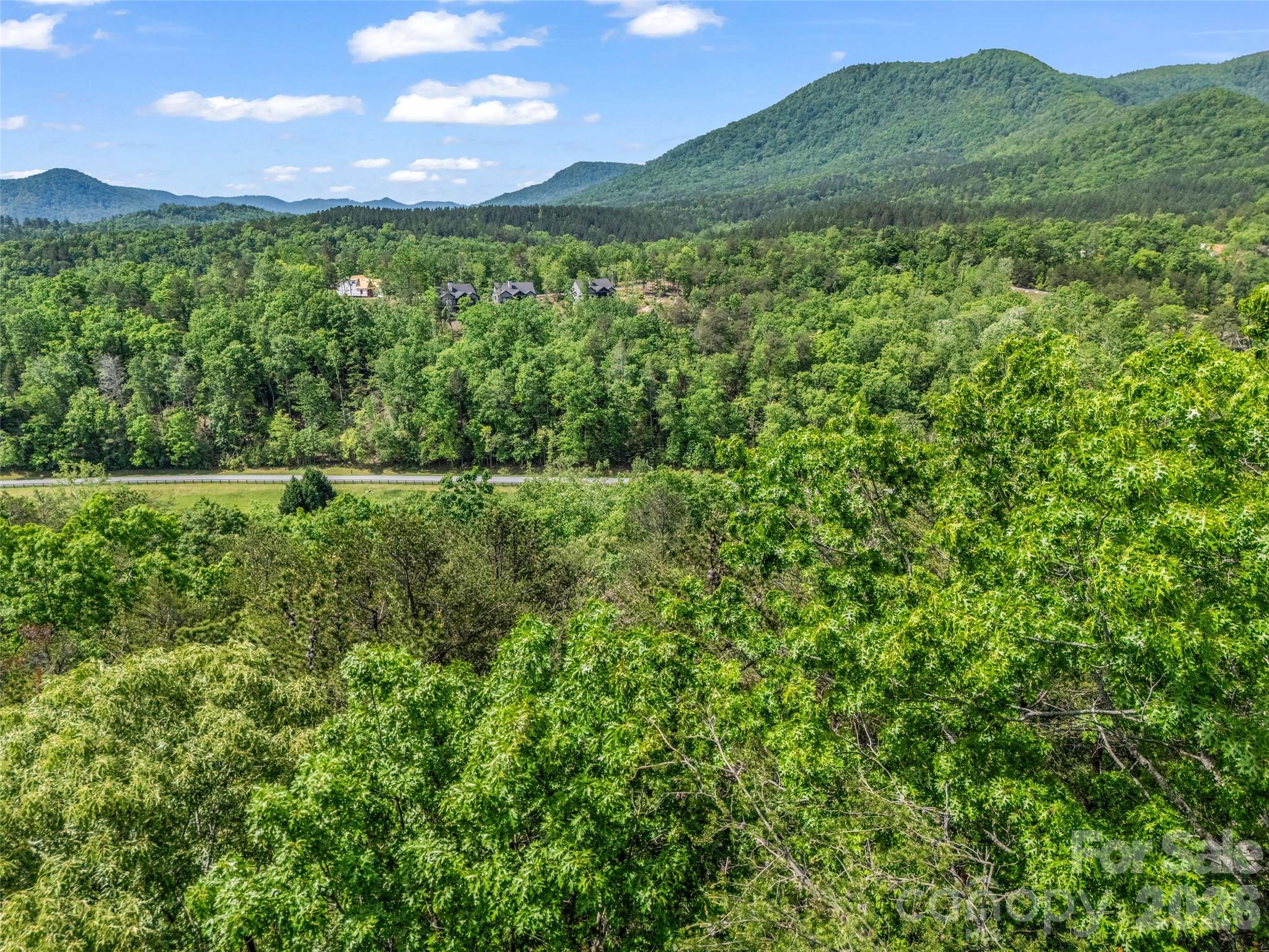 4 Woodward Dr Mill Spring Mill Spring, NC 28756 - Photo 30 of 40 a view of an lush green mountain from a yard