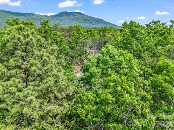 a view of outdoor space and trees