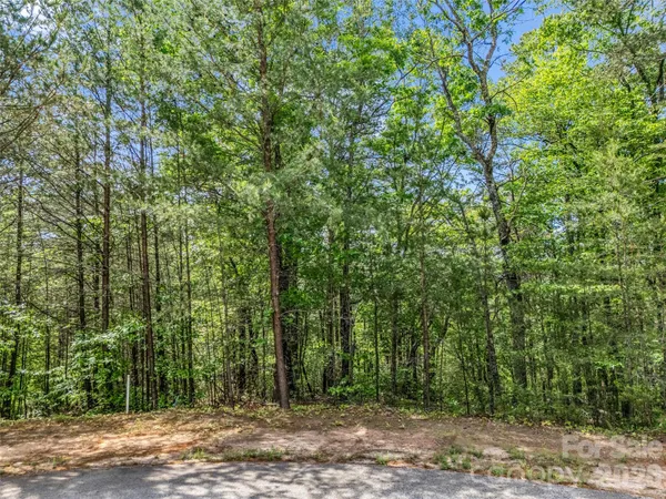 a view of a yard with plants