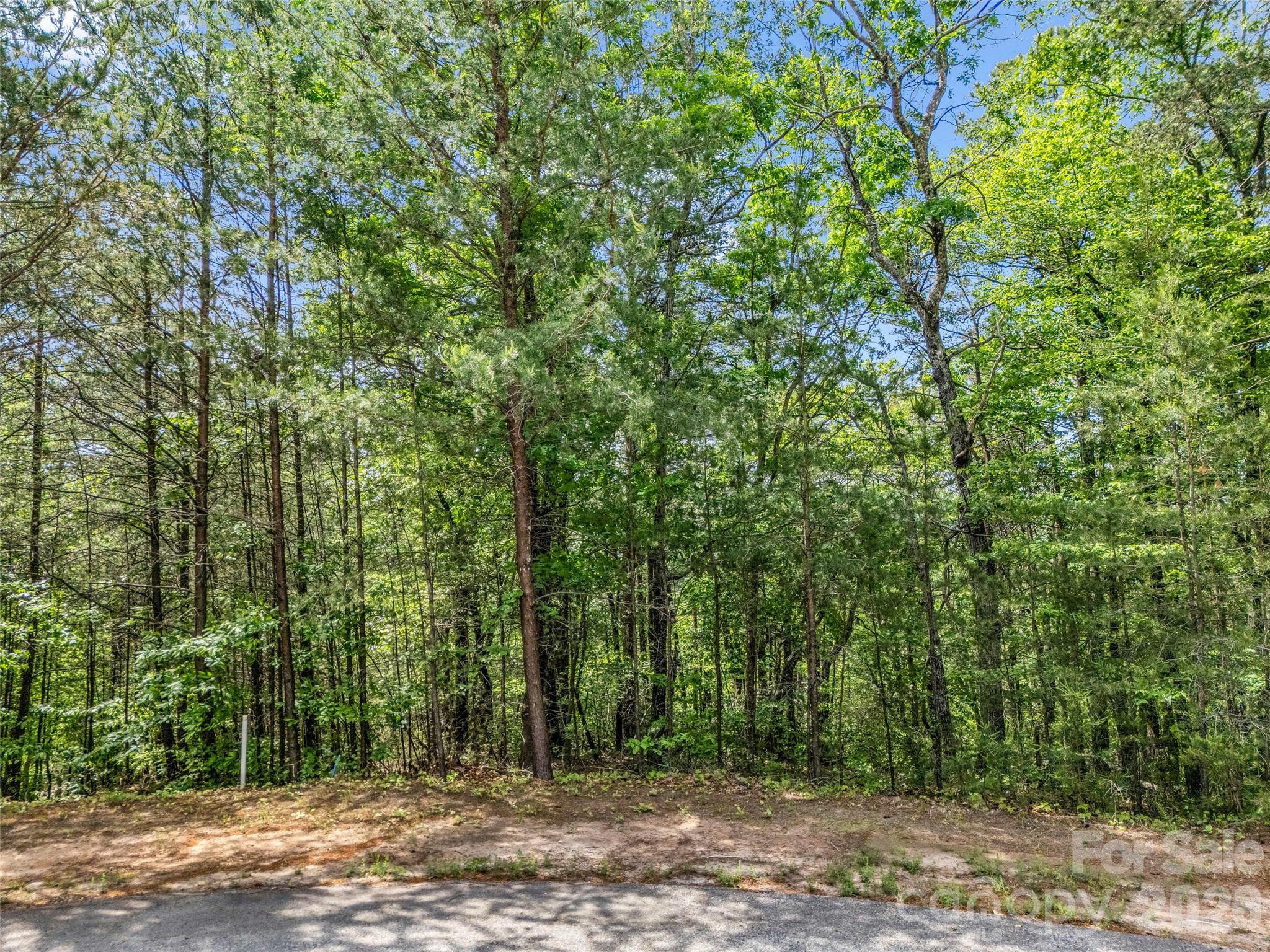 4 Woodward Dr Mill Spring Mill Spring, NC 28756 - Photo 33 of 40 a view of outdoor space and trees