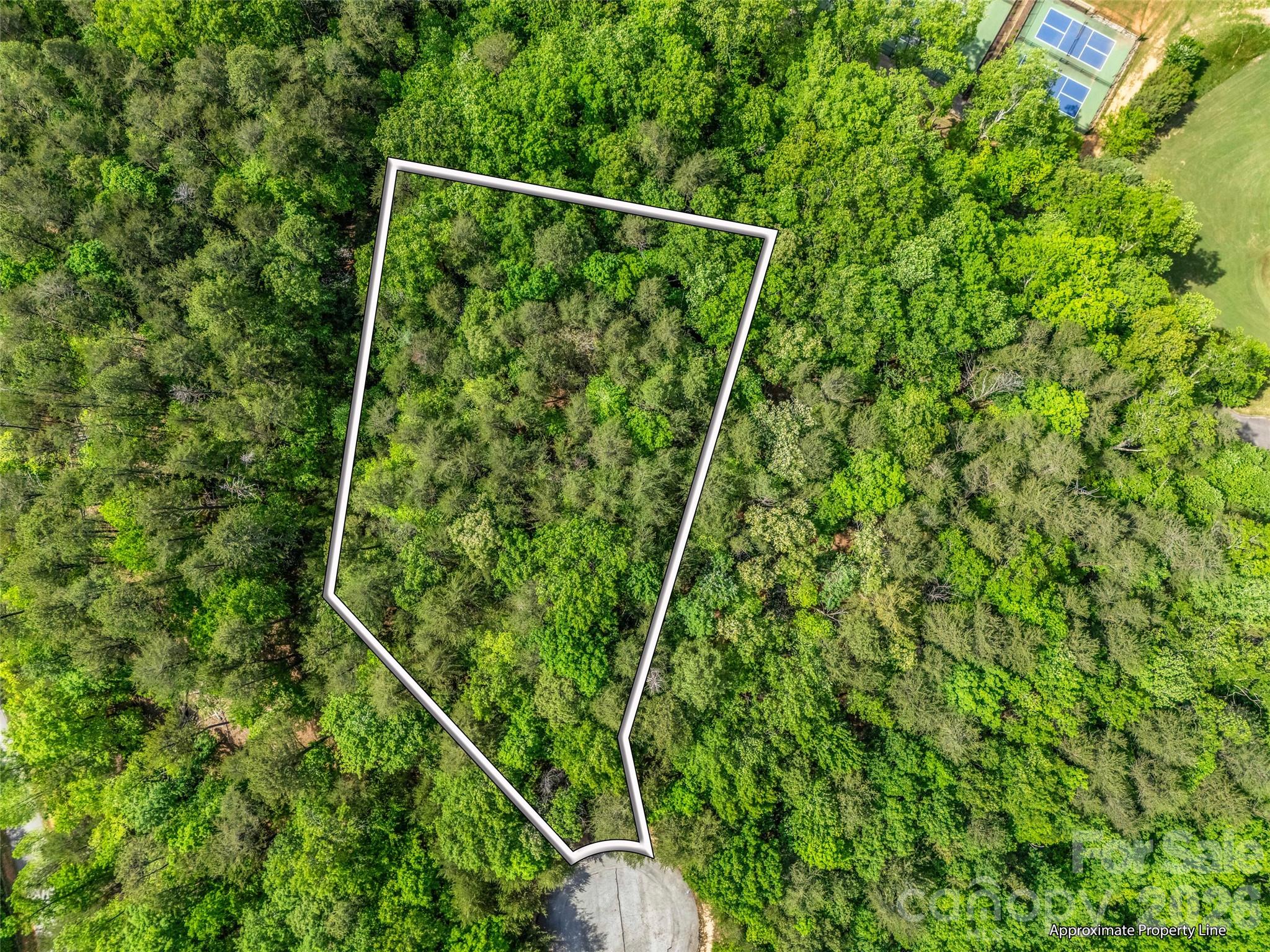 4 Woodward Dr Mill Spring Mill Spring, NC 28756 - Photo 5 of 40 a view of a yard with a tree