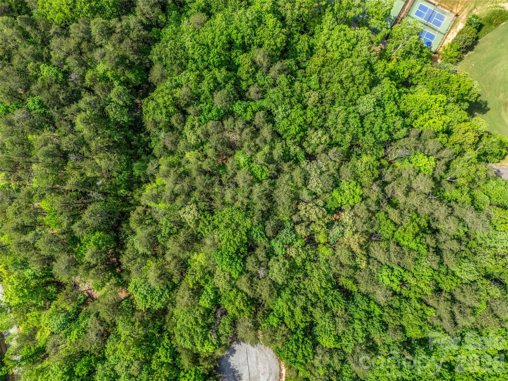 4 Woodward Dr Mill Spring Mill Spring, NC 28756 - Photo 10 of 40 a view of a lush green field