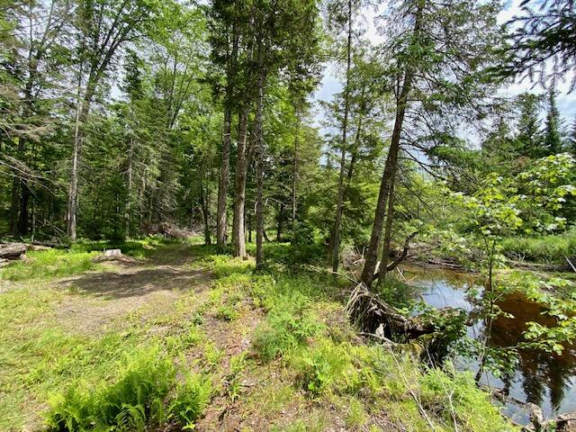 0 Pratt Road Parsonsfield, ME 04047 - Photo 11 of 14 IMG_3117
