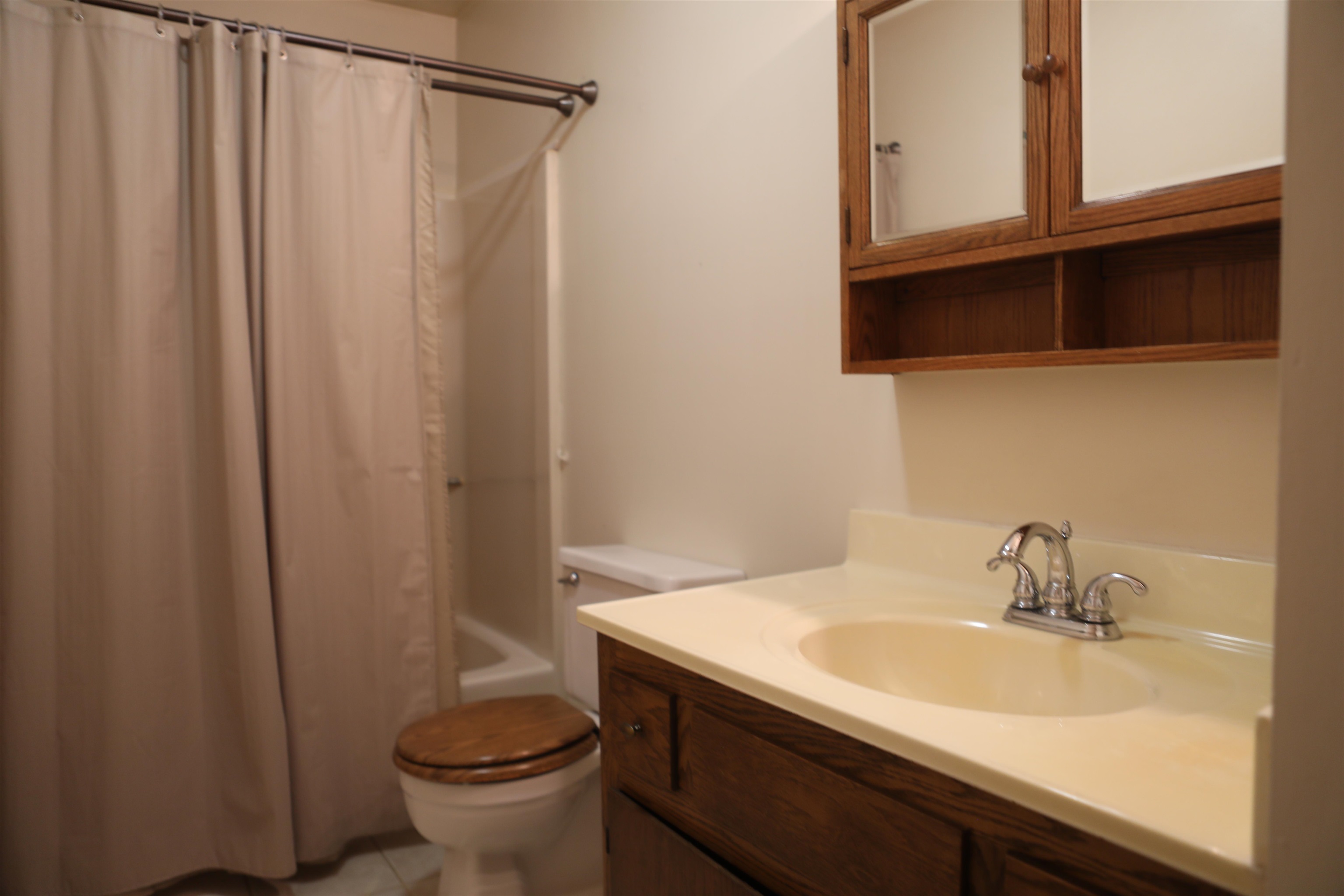 573 Round Hill School Road Fort Defiance, VA 24437 - Photo 61 of 65 a bathroom with a sink a toilet and shower curtain