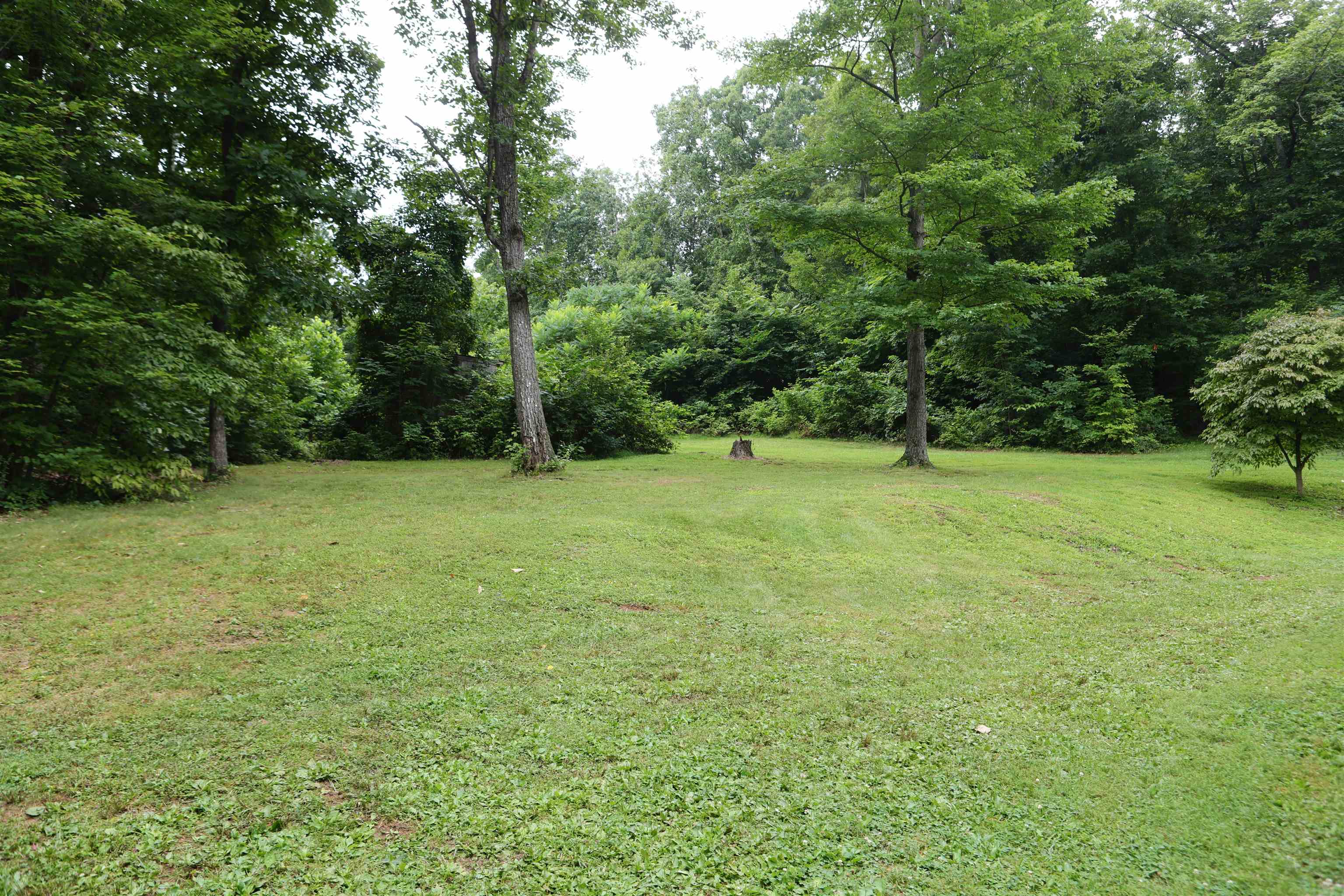 573 Round Hill School Road Fort Defiance, VA 24437 - Photo 10 of 65 a view of an outdoor space and a yard