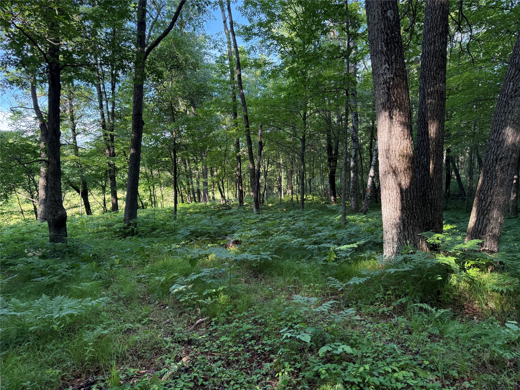 Xxx Sathre Lane Shell Lake, WI 54871 - Photo 24 of 36