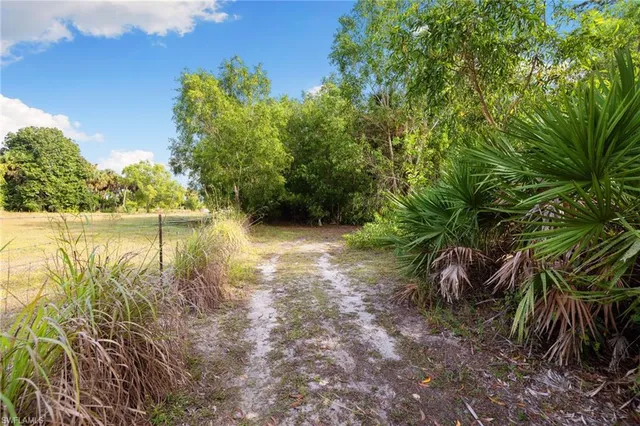 a view of lake with a trees