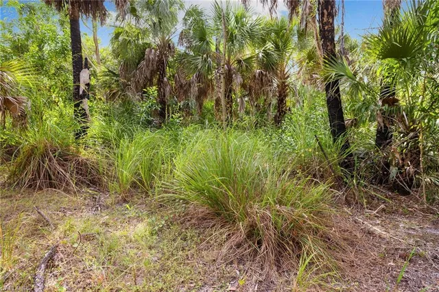 a view of an outdoor space and yard