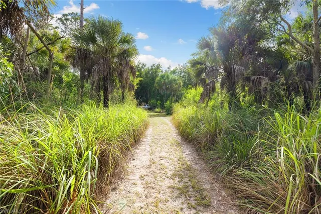 a view of outdoor space and garden