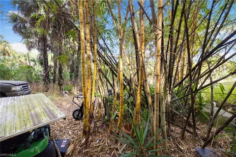 a view of a plant in a garden